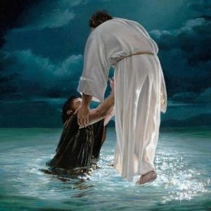 Meet your Posher, Gallo claudio